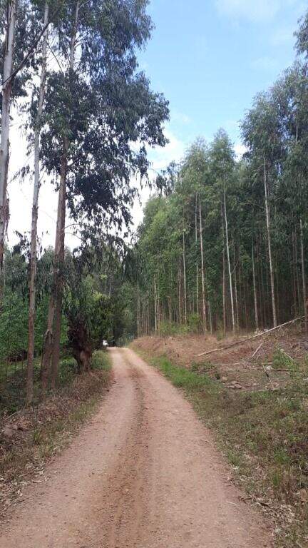 Terreno à venda, 121000m² - Foto 3