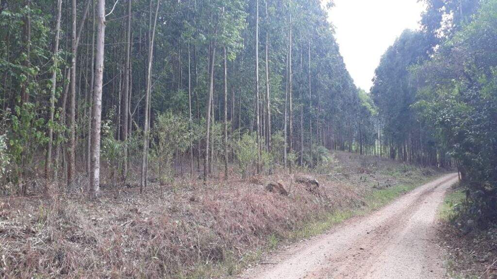 Terreno à venda, 121000m² - Foto 1