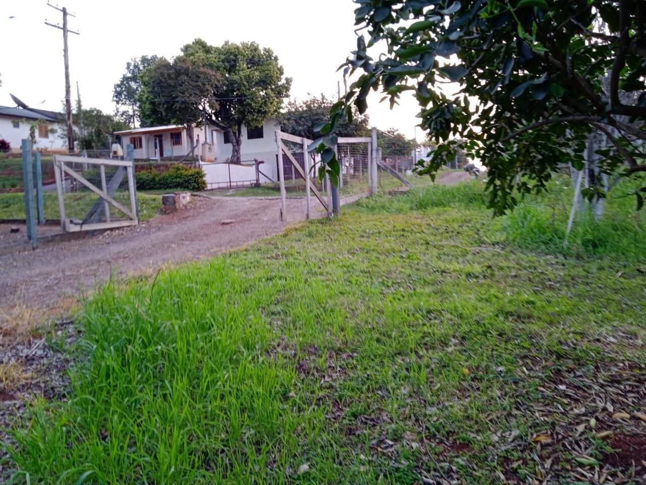 Fazenda à venda, 6000m² - Foto 1