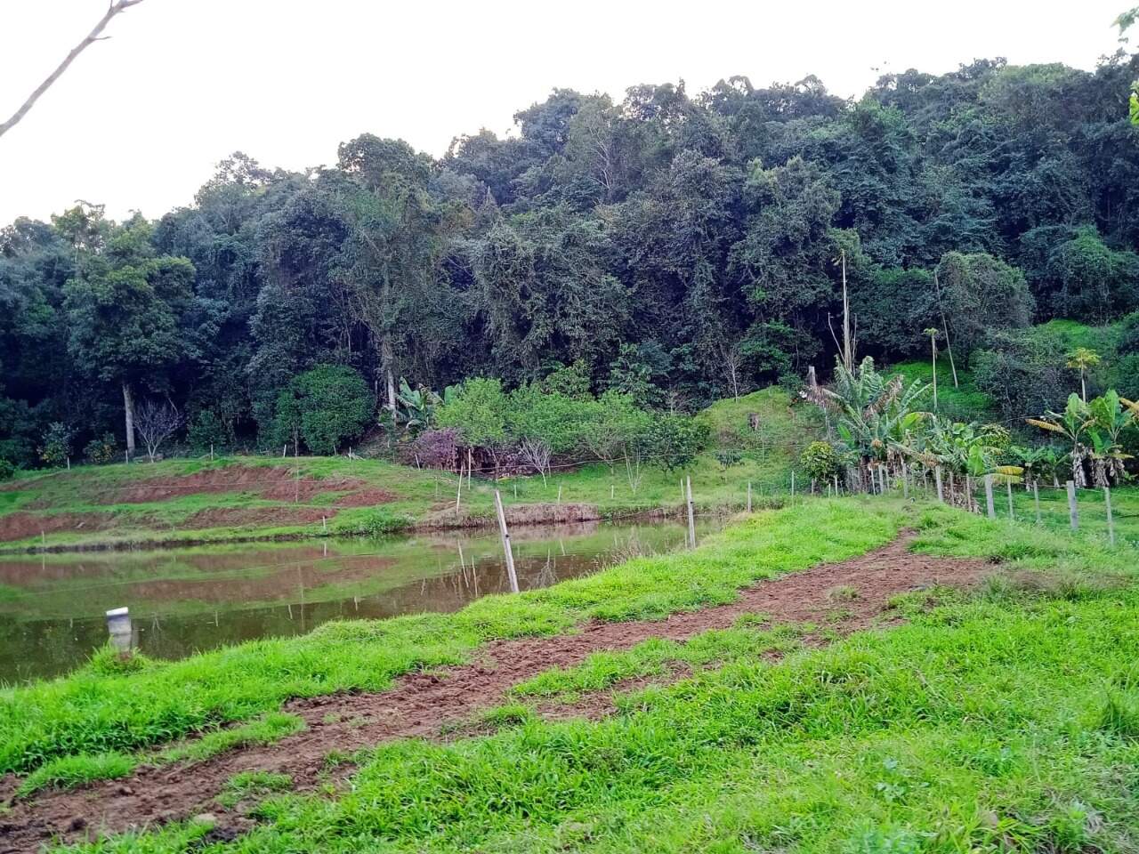 Fazenda à venda com 2 quartos, 270m² - Foto 9