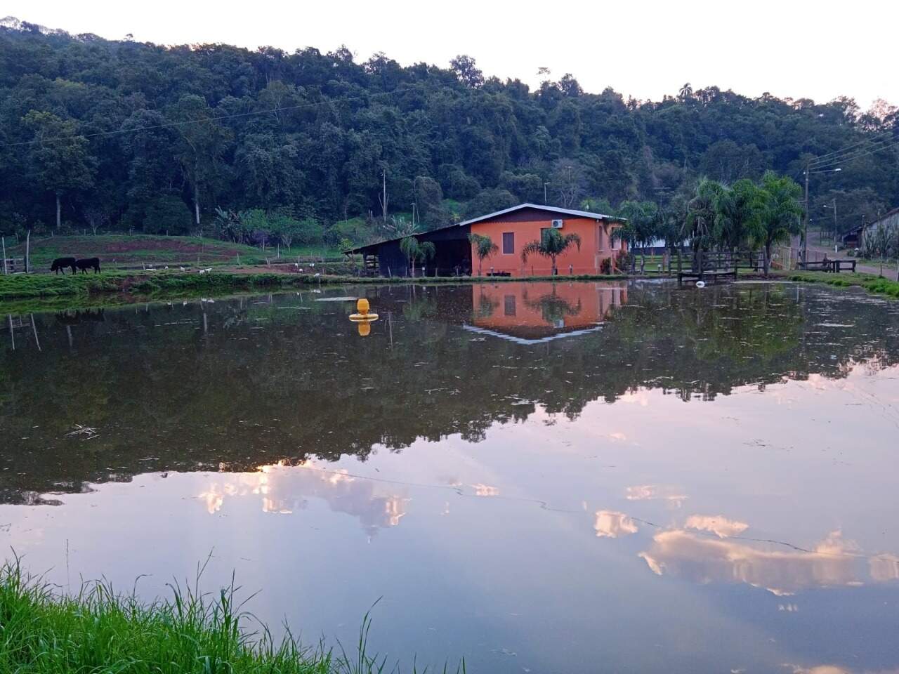 Fazenda à venda com 2 quartos, 270m² - Foto 2