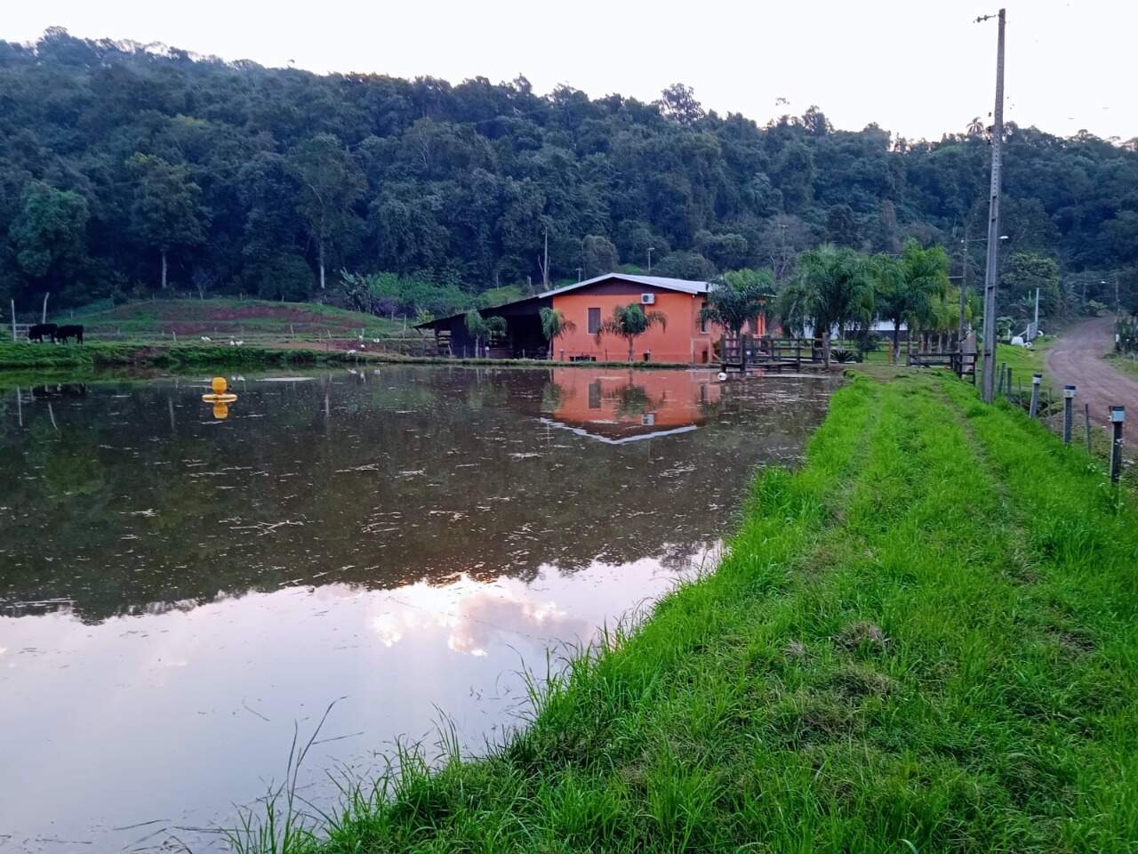 Chácara à venda no Interior: 