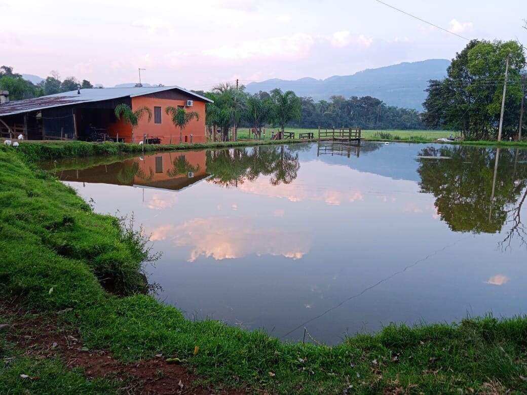 Fazenda à venda com 2 quartos, 270m² - Foto 21