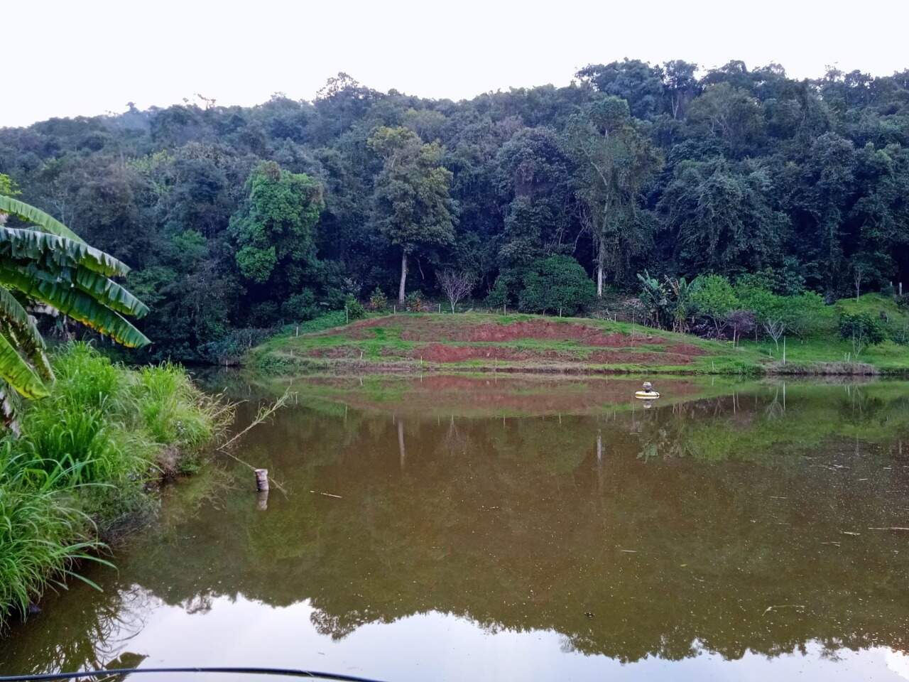 Fazenda à venda com 2 quartos, 270m² - Foto 22