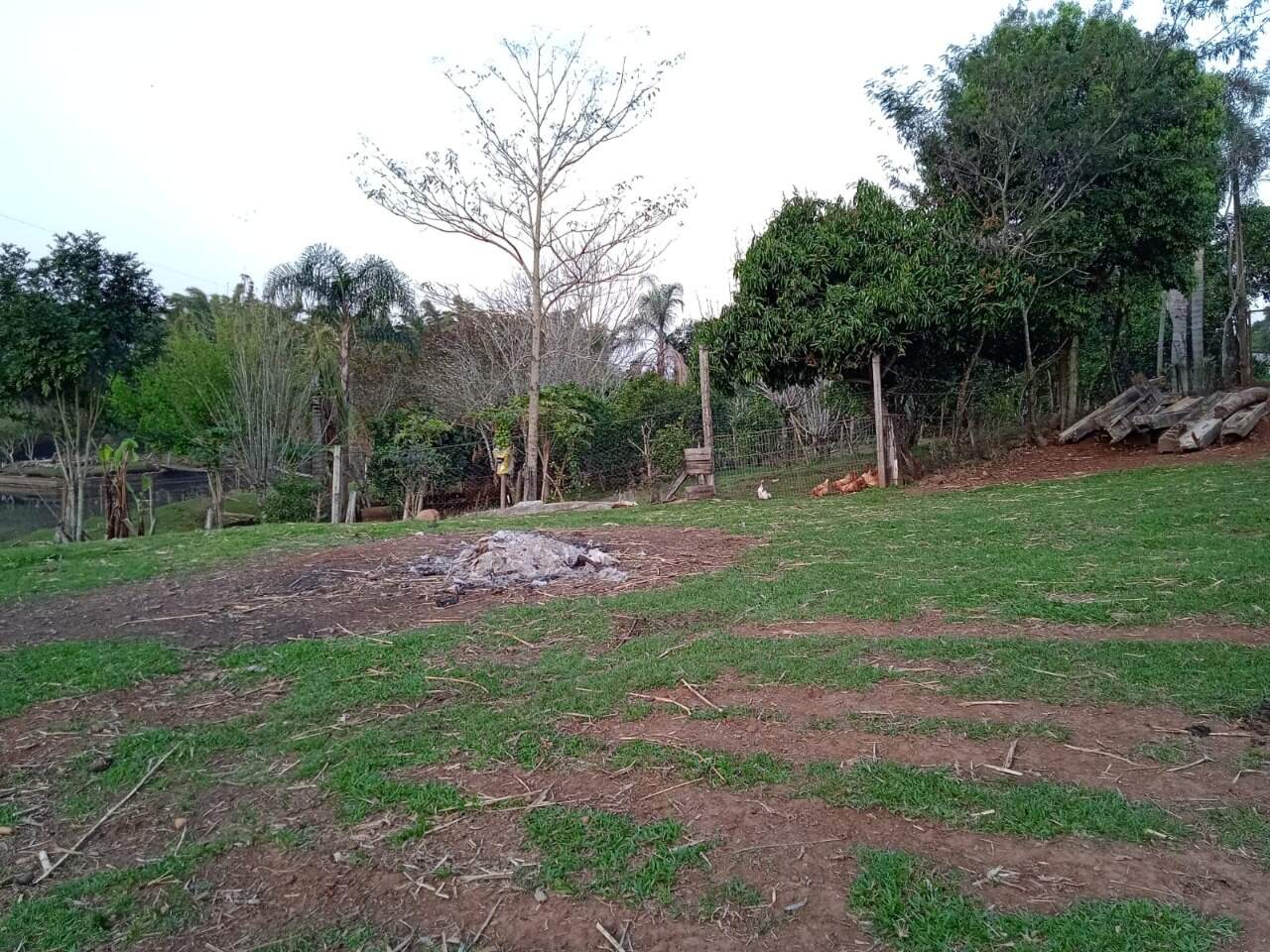 Fazenda à venda com 2 quartos, 270m² - Foto 29