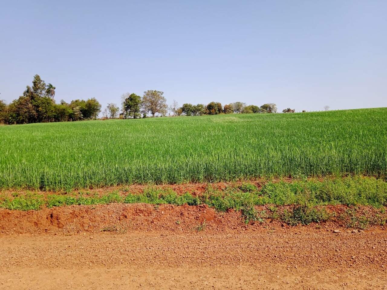 Terreno à venda, 1900m² - Foto 1