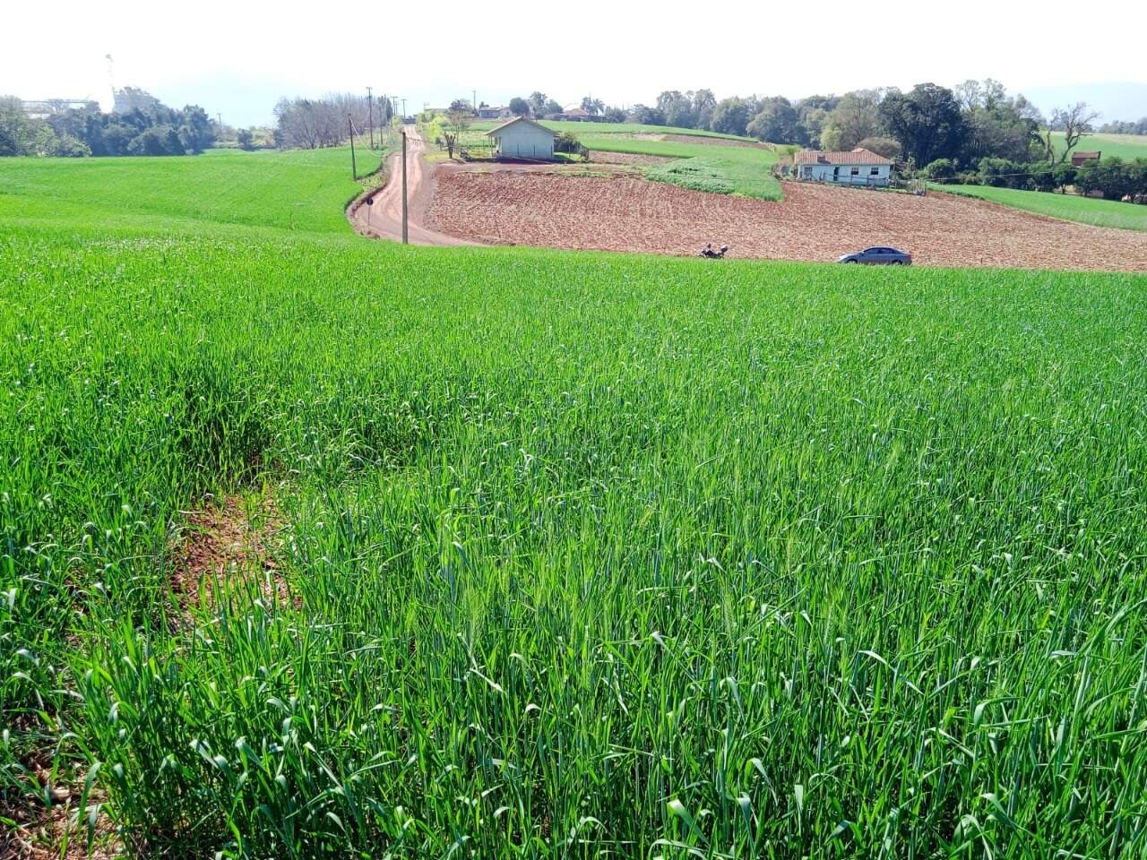 Terreno à venda, 1900m² - Foto 3