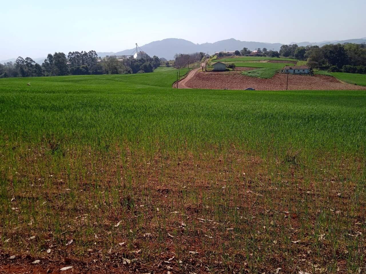 Terreno à venda, 1900m² - Foto 2