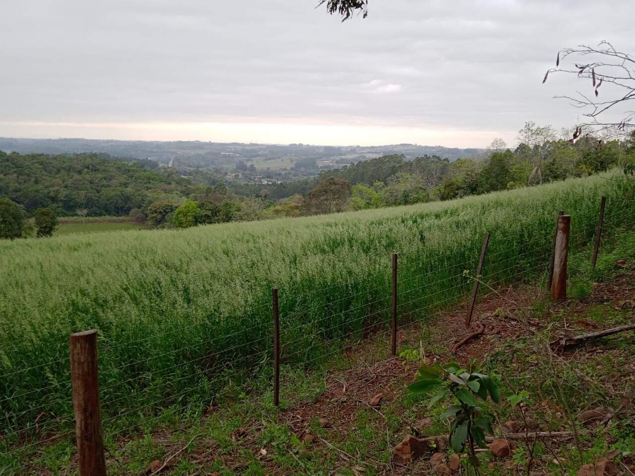 Terreno à venda, 155000m² - Foto 6