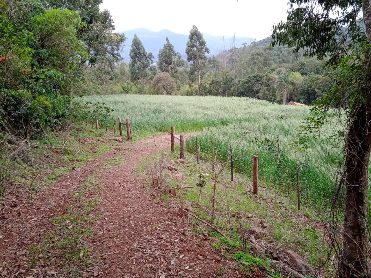 Terreno à venda, 155000m² - Foto 7