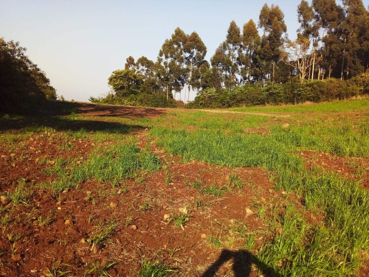 Terreno à venda, 75000m² - Foto 3