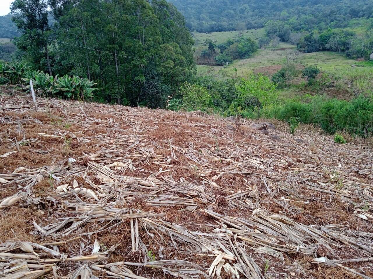 Terreno à venda, 14500m² - Foto 11