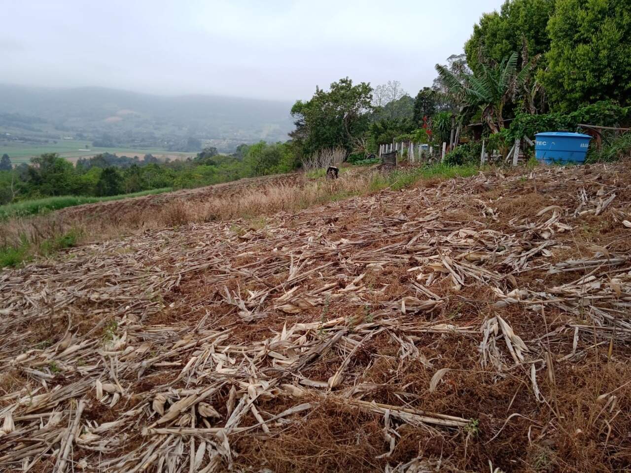 Terreno à venda, 14500m² - Foto 14