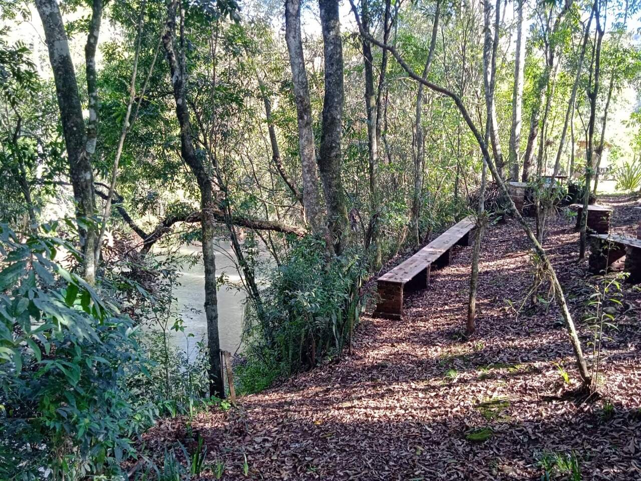 Fazenda à venda com 2 quartos, 100m² - Foto 10