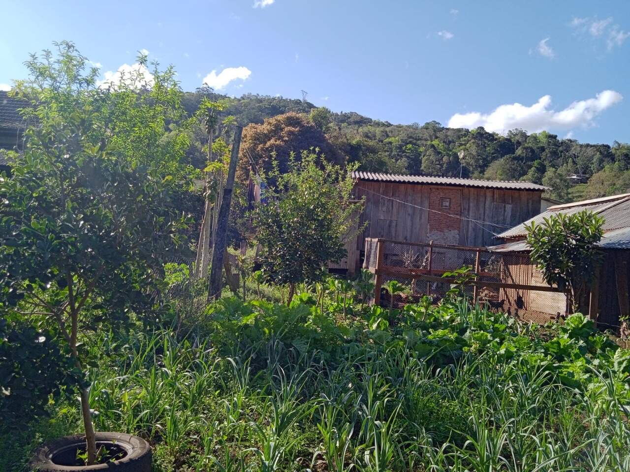 Fazenda à venda com 2 quartos, 100m² - Foto 12