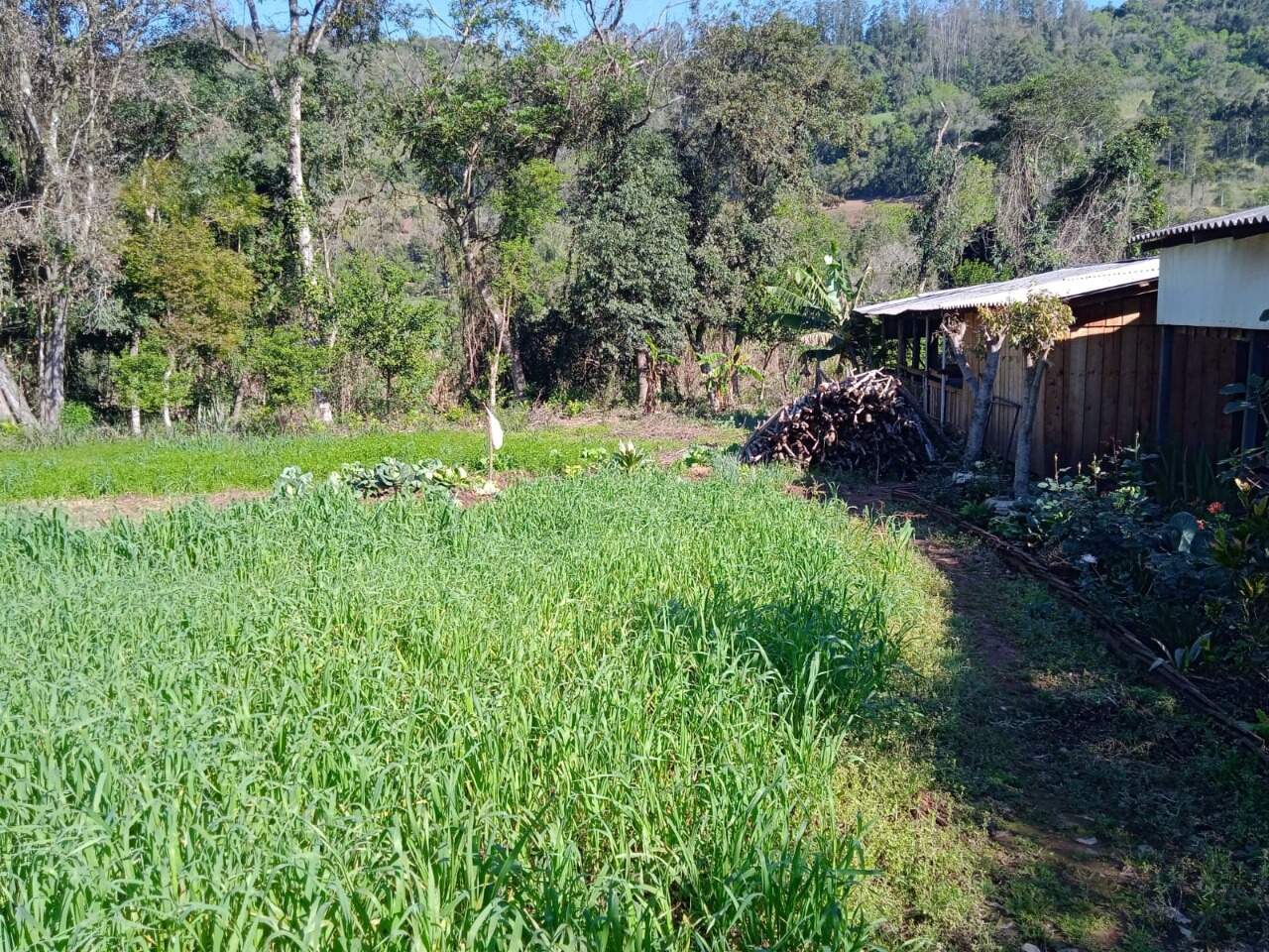 Fazenda à venda com 2 quartos, 100m² - Foto 13