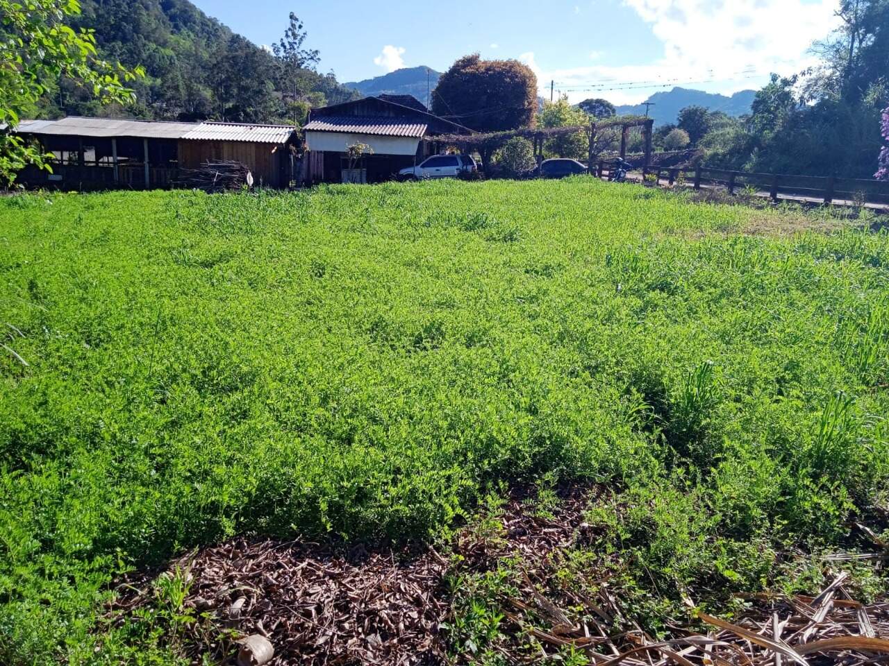 Fazenda à venda com 2 quartos, 100m² - Foto 14