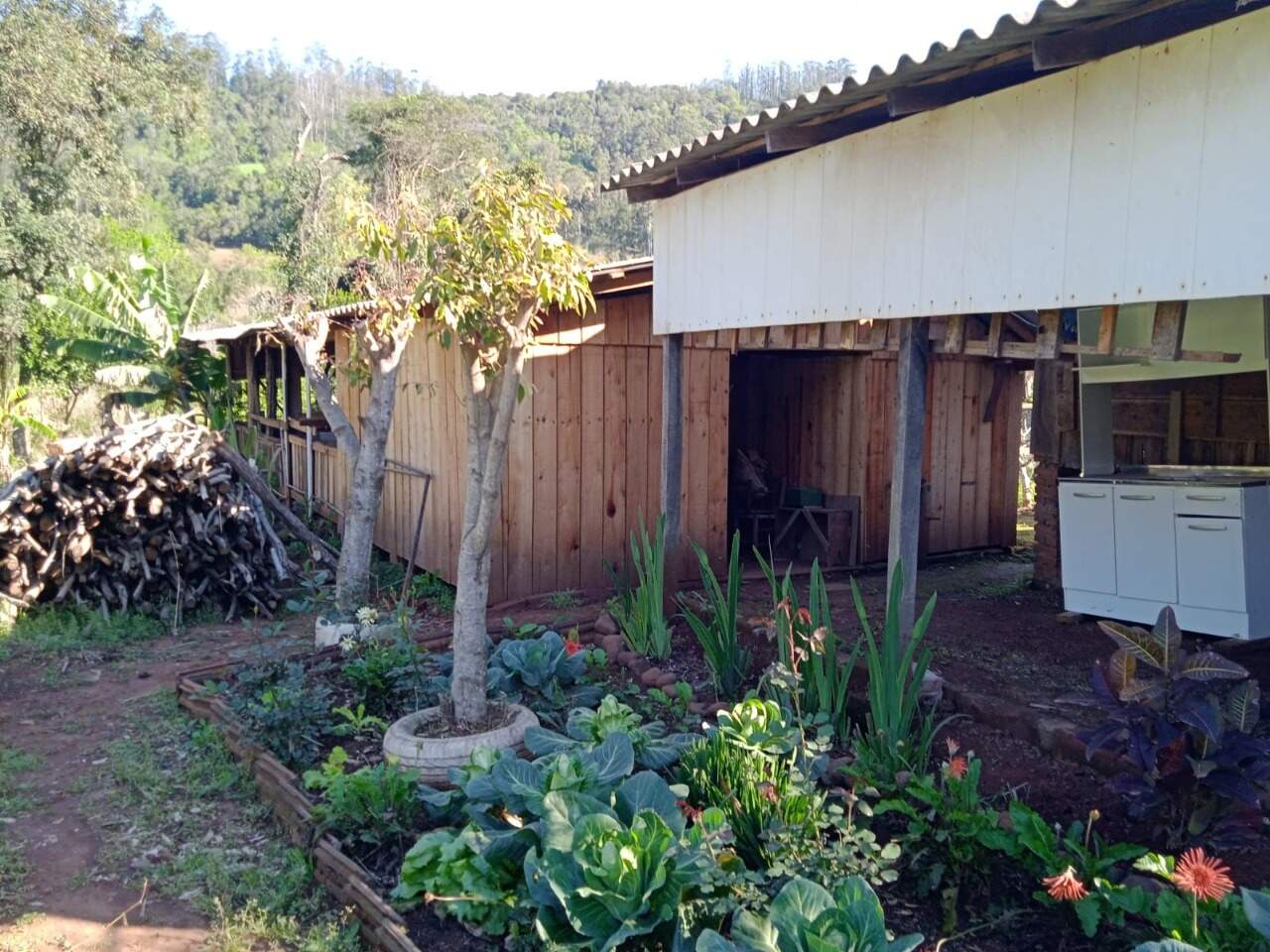 Fazenda à venda com 2 quartos, 100m² - Foto 9