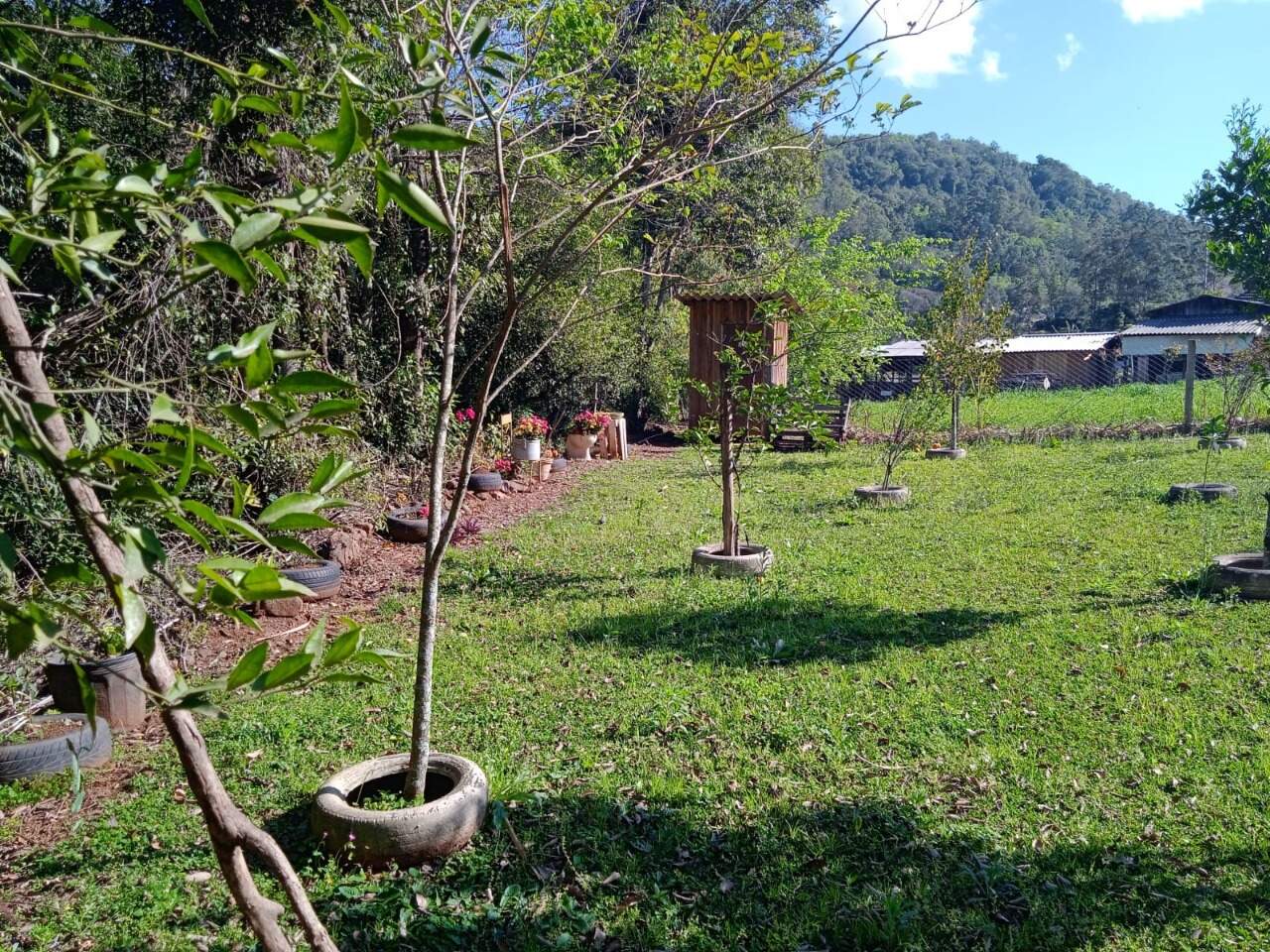 Fazenda à venda com 2 quartos, 100m² - Foto 17