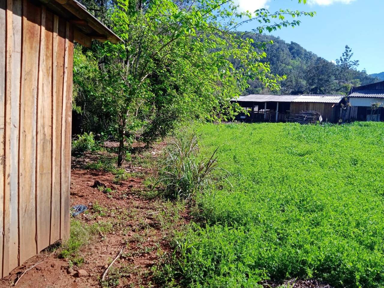 Fazenda à venda com 2 quartos, 100m² - Foto 18