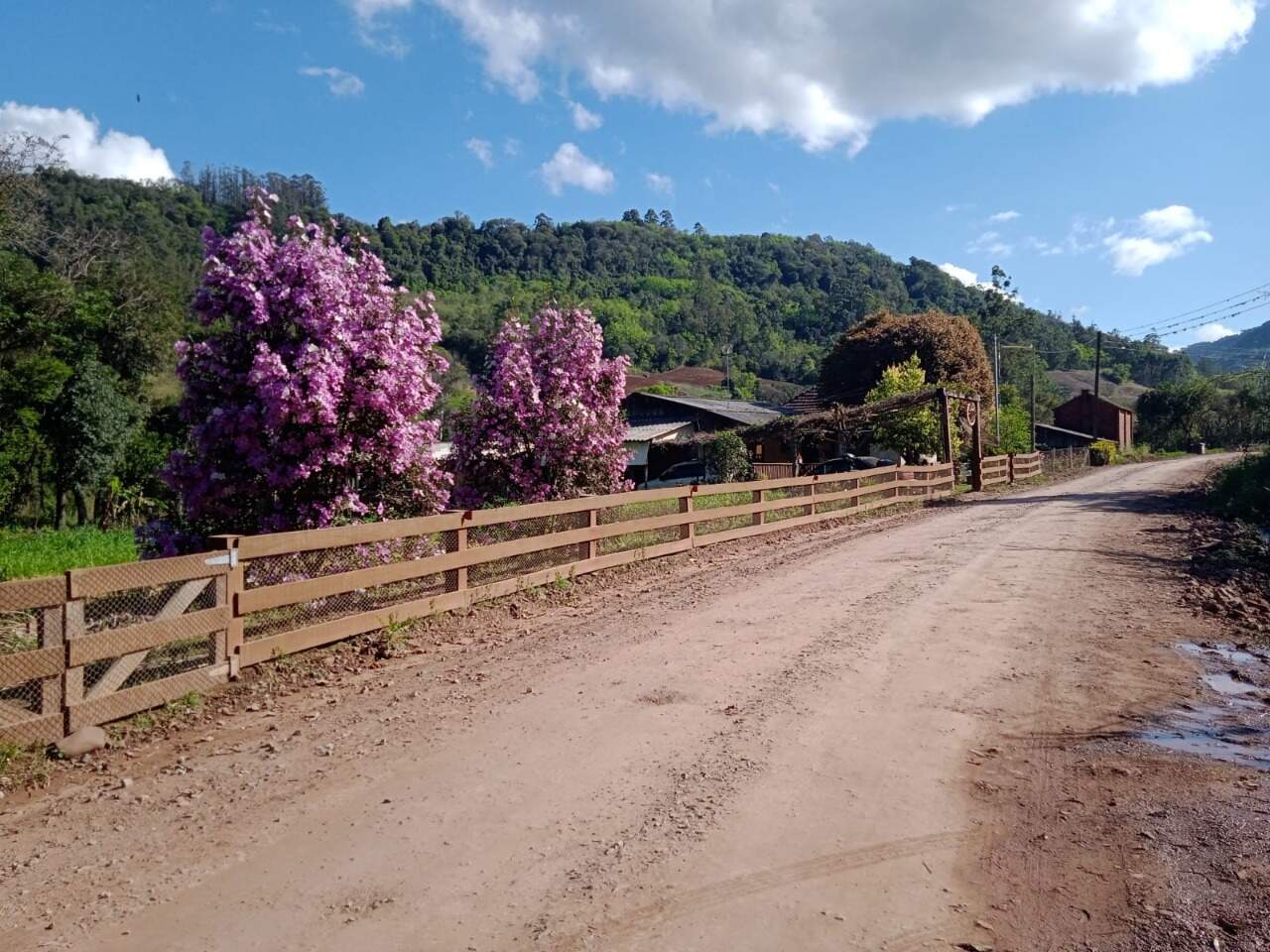 Fazenda à venda com 2 quartos, 100m² - Foto 19