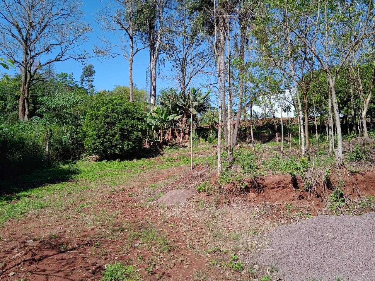 Terreno à venda, 2814m² - Foto 1