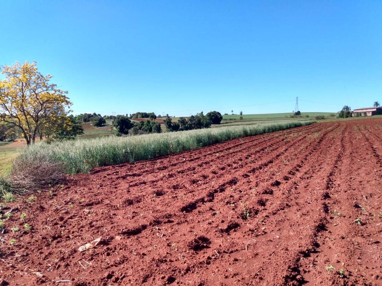 Terreno à venda, 18000m² - Foto 4