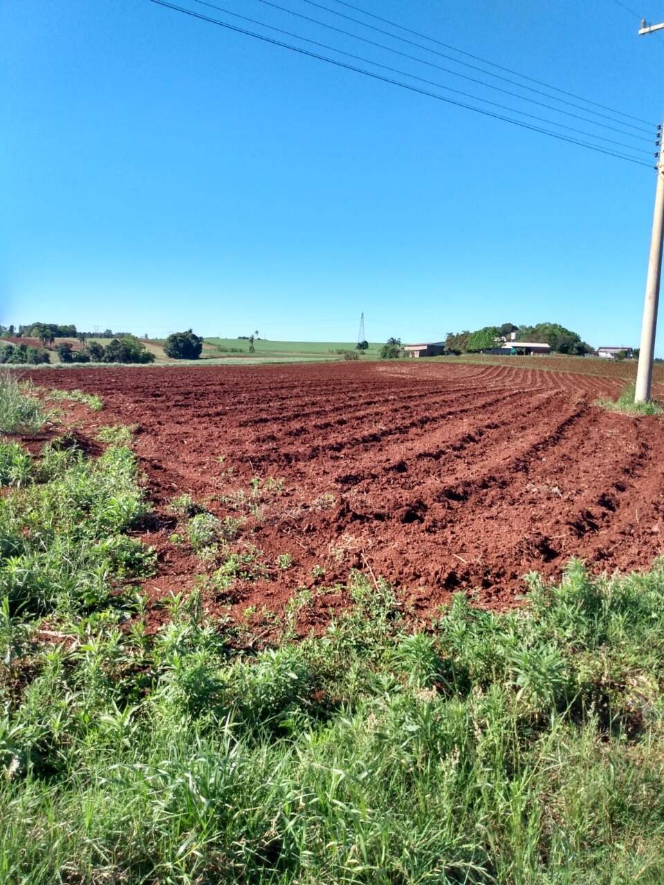 Terreno à venda, 18000m² - Foto 5