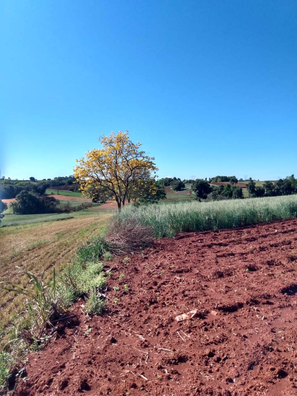 Terreno à venda, 18000m² - Foto 7