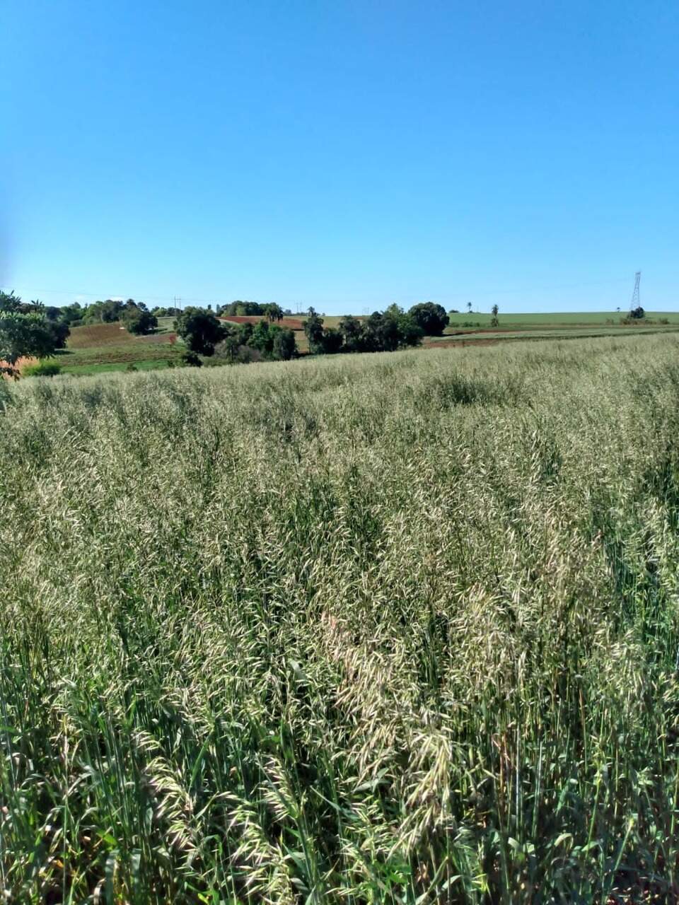 Terreno à venda, 18000m² - Foto 8