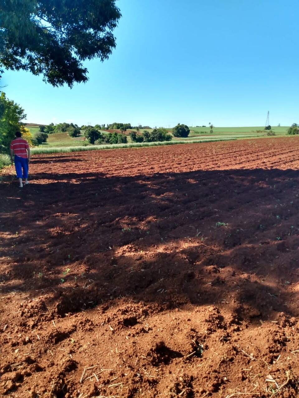 Terreno à venda, 18000m² - Foto 9