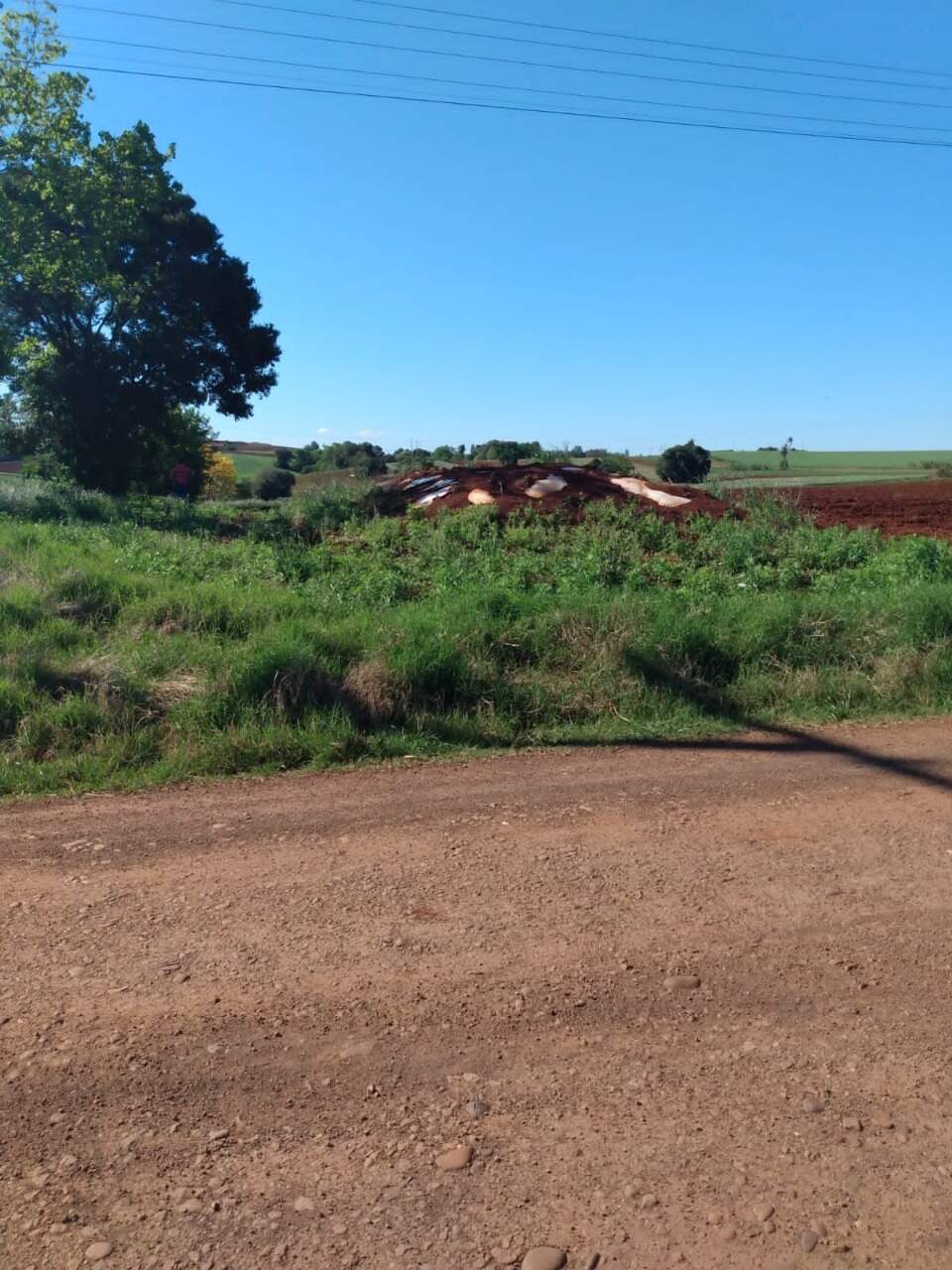 Terreno à venda, 18000m² - Foto 10