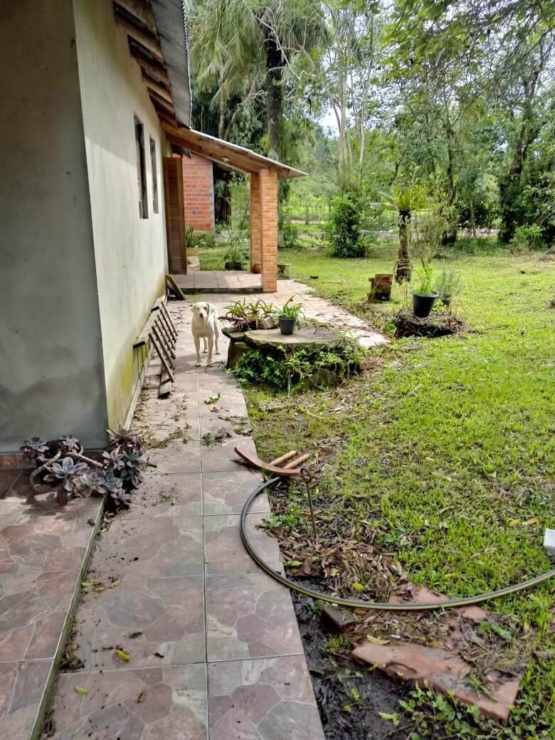 Fazenda à venda com 3 quartos, 100m² - Foto 11