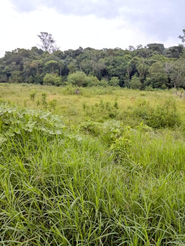 Fazenda à venda com 3 quartos, 100m² - Foto 14