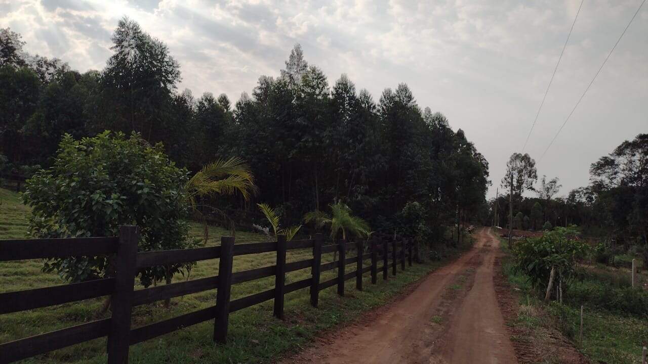 Terreno à venda, 5000m² - Foto 2