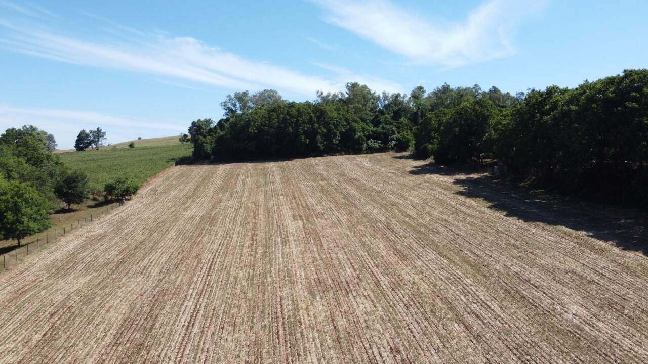 Terreno à venda, 33000m² - Foto 1