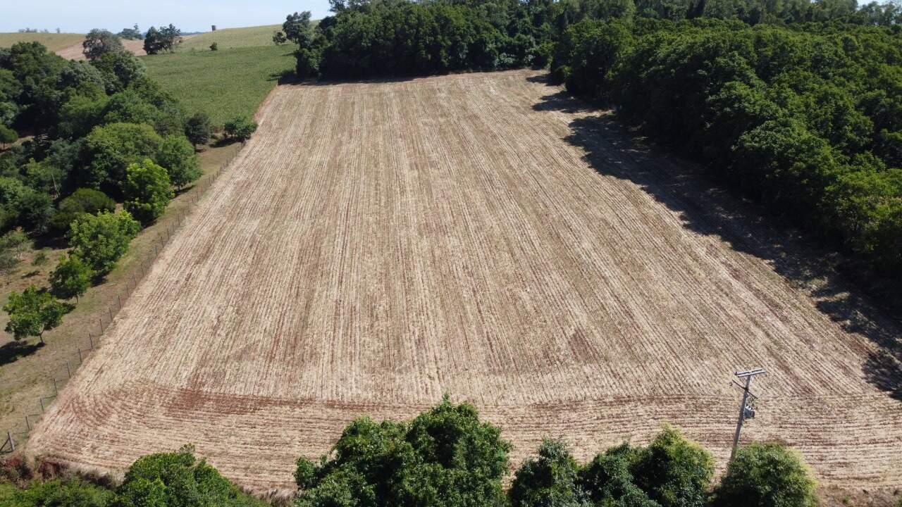 Terreno à venda, 33000m² - Foto 2