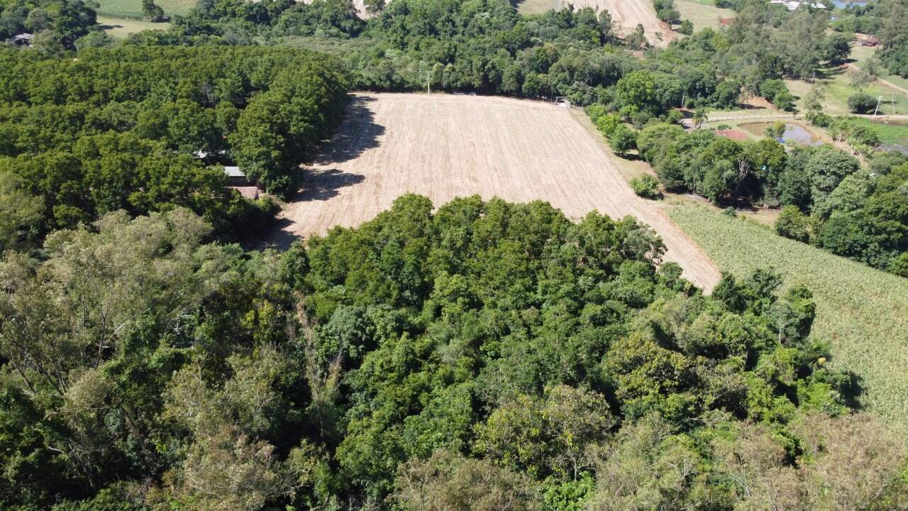 Terreno à venda, 33000m² - Foto 4