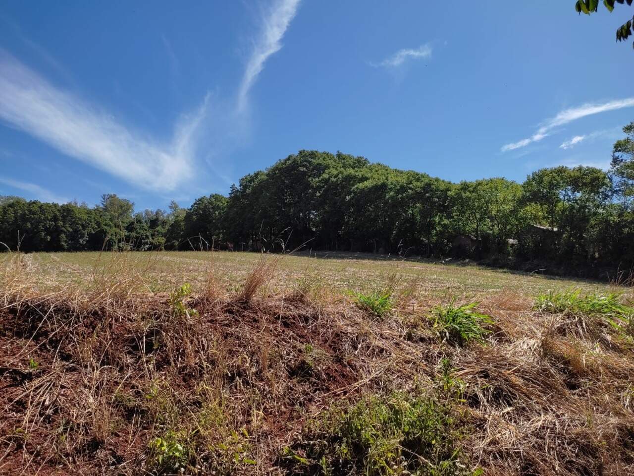 Terreno à venda, 33000m² - Foto 6