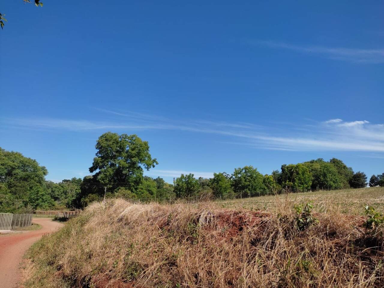 Terreno à venda, 33000m² - Foto 8