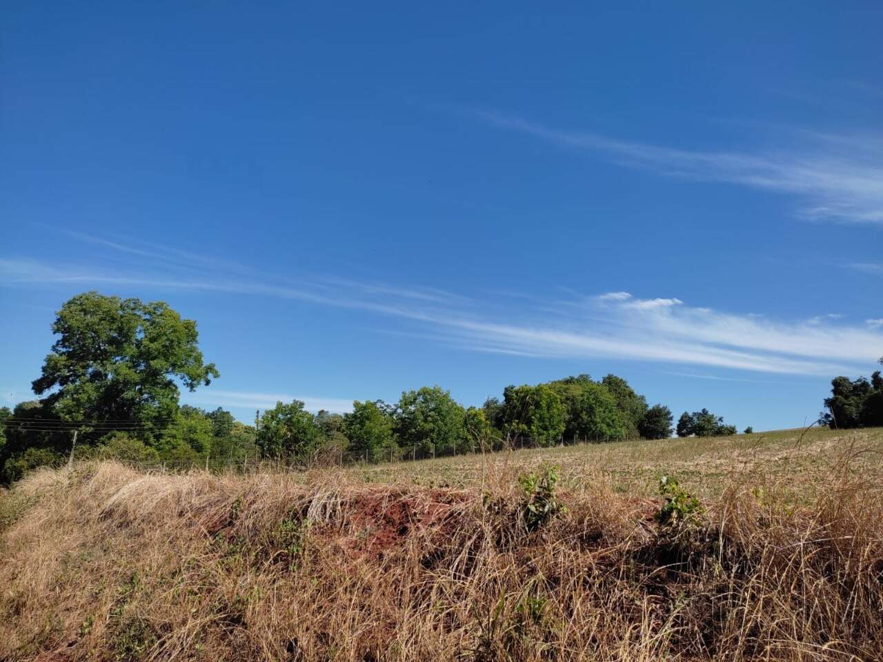 Terreno à venda, 33000m² - Foto 9