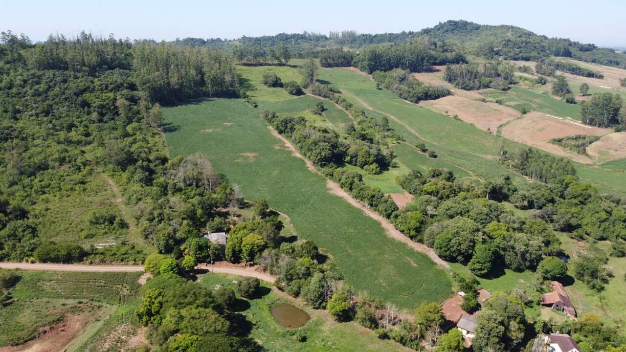 Fazenda à venda com 3 quartos, 100m² - Foto 1