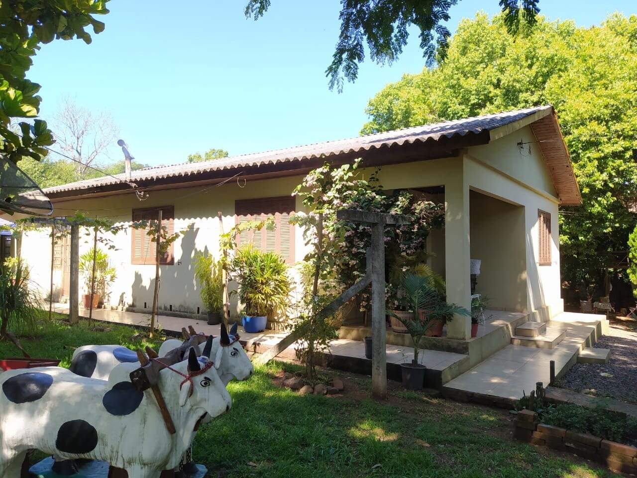 Fazenda à venda com 3 quartos, 100m² - Foto 8