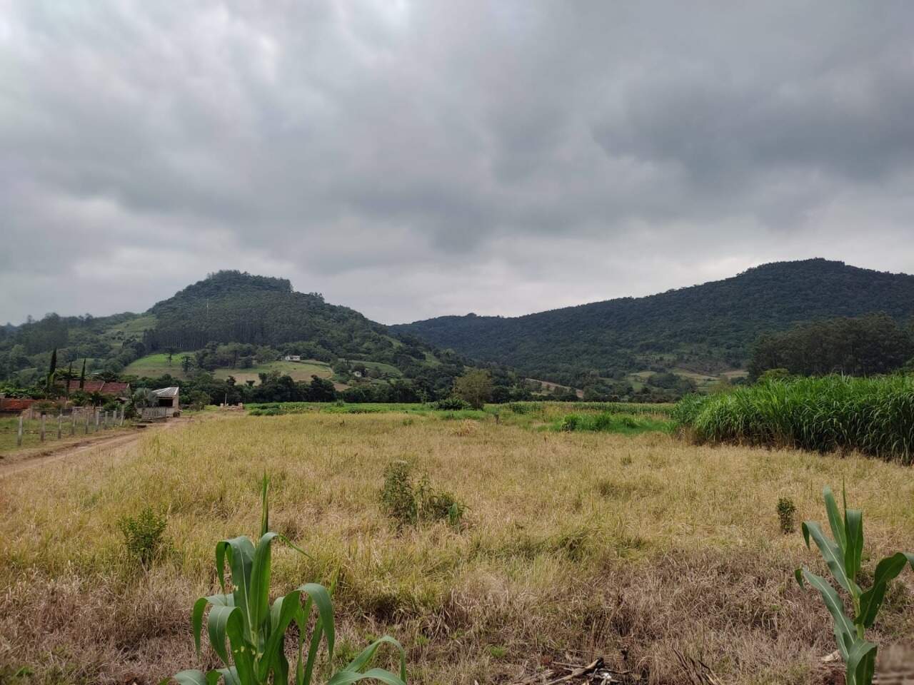 Terreno à venda, 1760m² - Foto 3