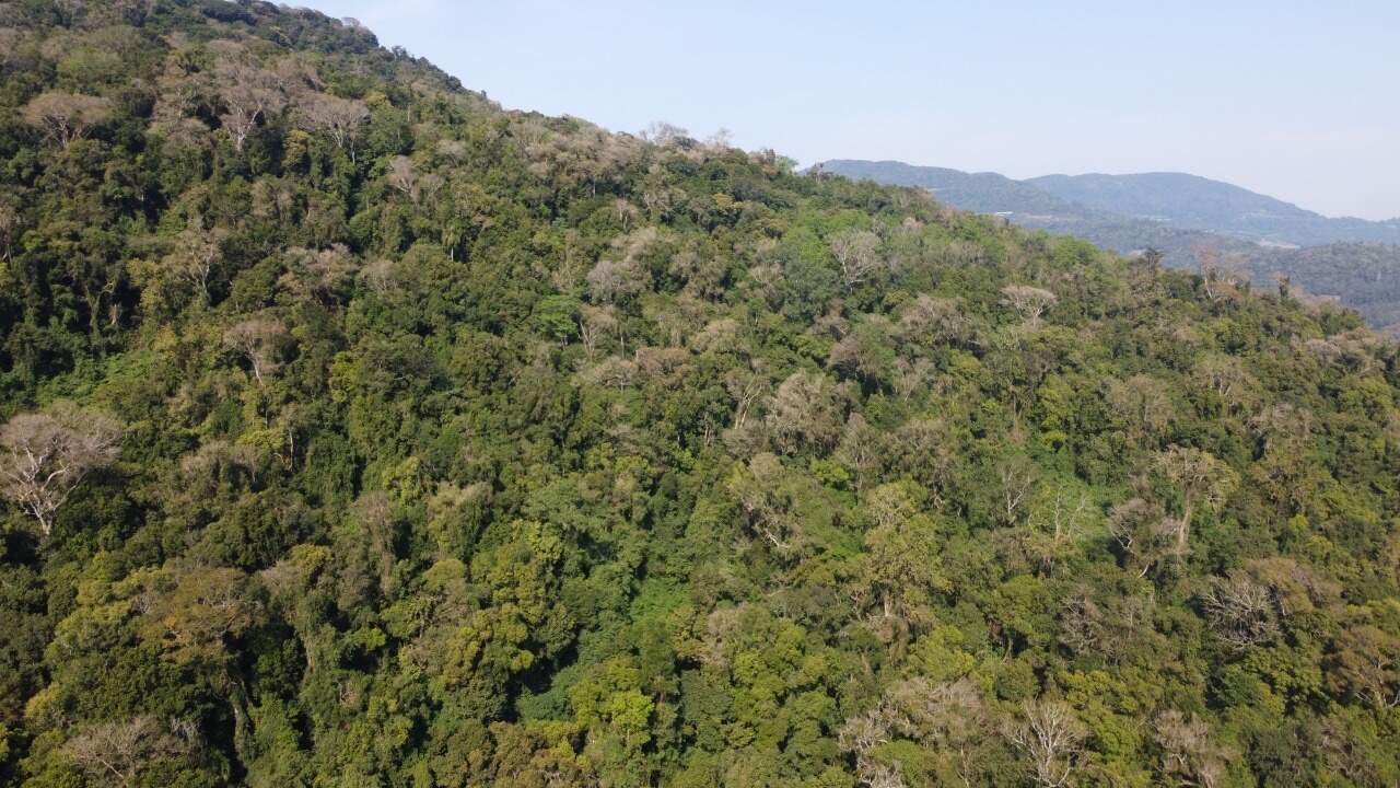 Sítio, 1 hectares - Foto 22