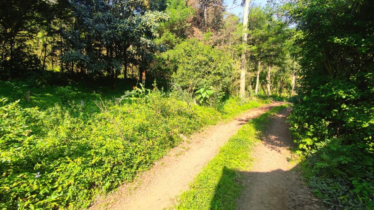 Sítio, 1 hectares - Foto 6