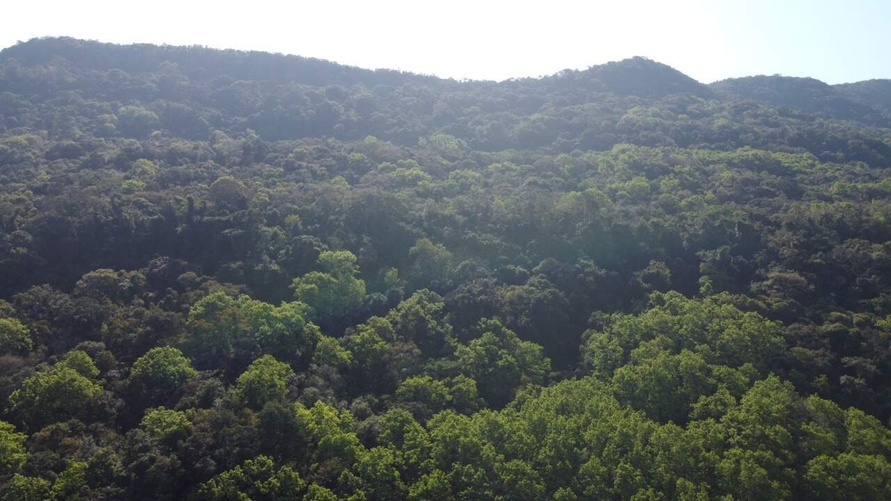 Sítio, 1 hectares - Foto 7