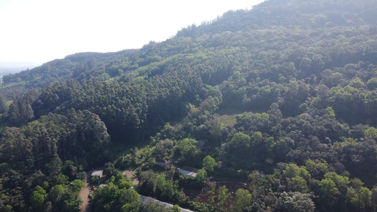 Sítio, 1 hectares - Foto 8