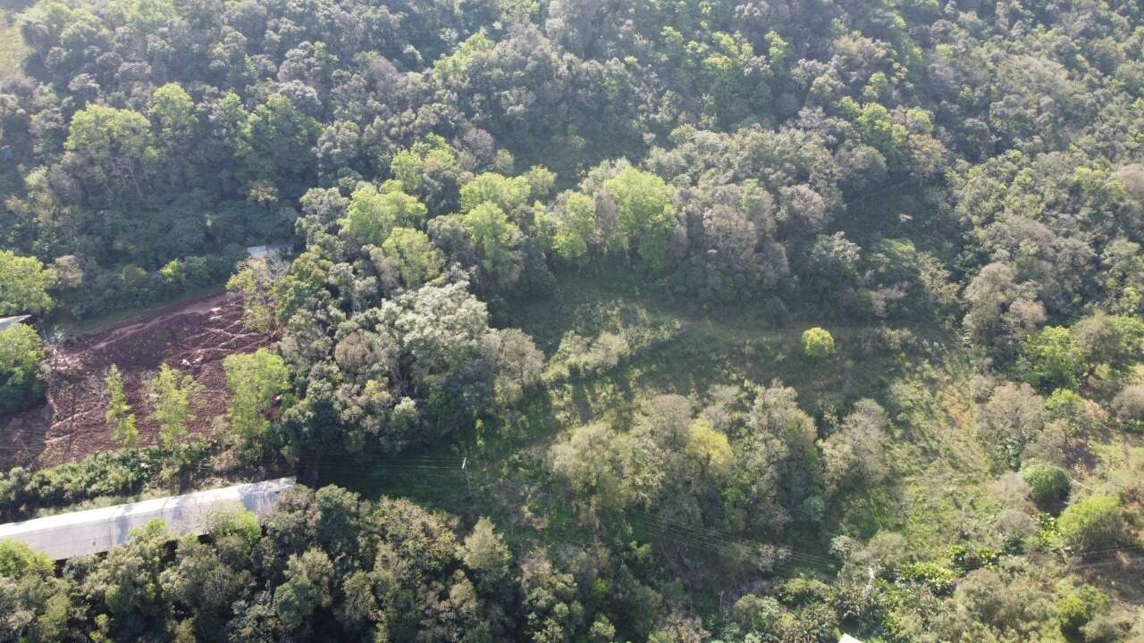 Sítio, 1 hectares - Foto 10