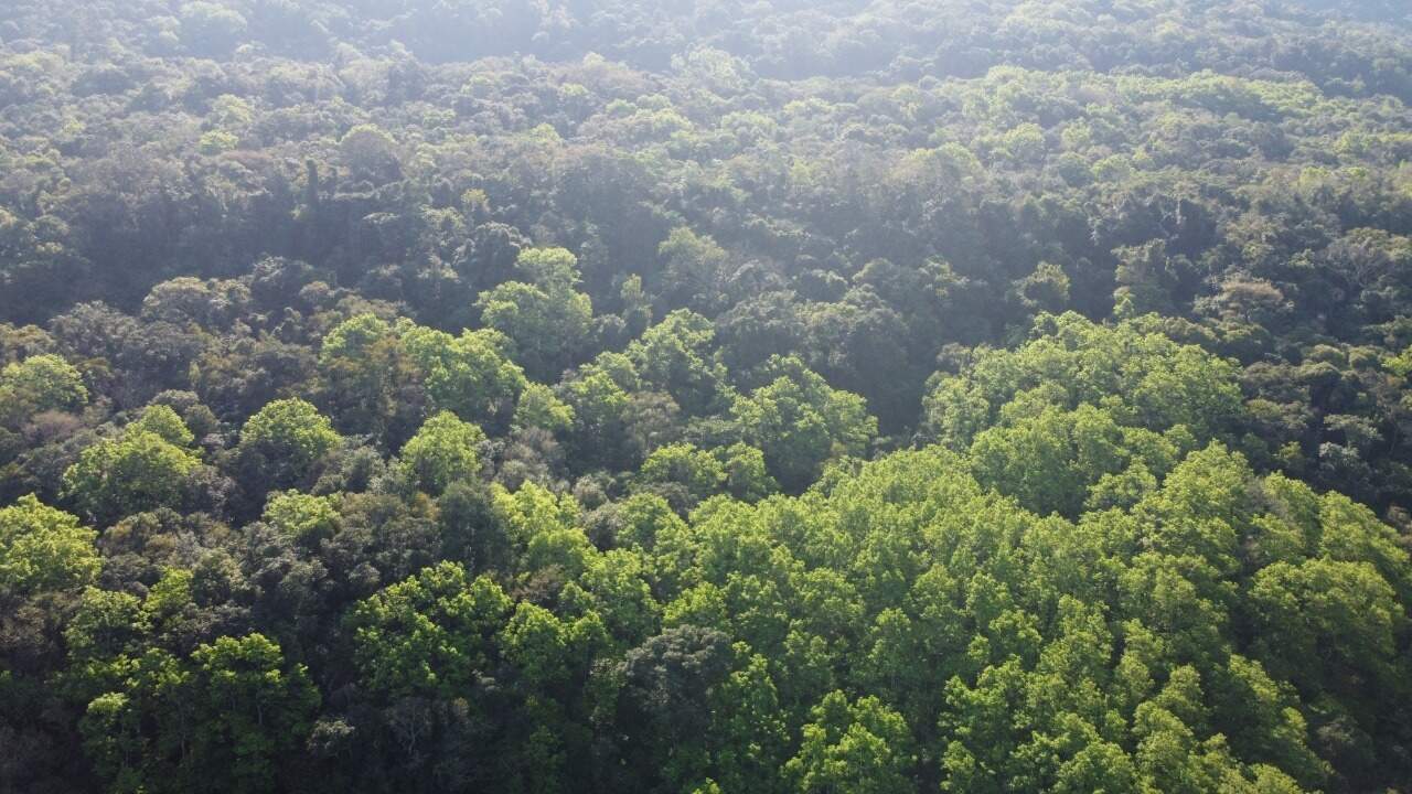 Sítio, 1 hectares - Foto 12